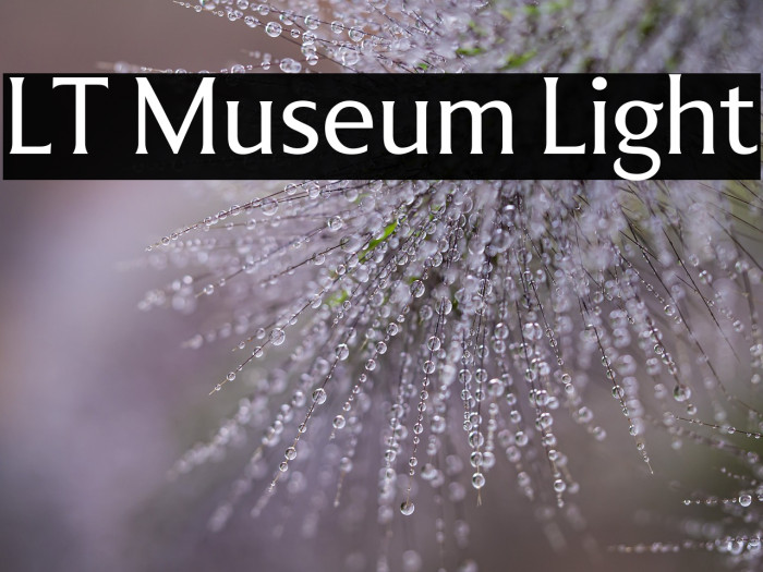 LT Museum Light Example 2