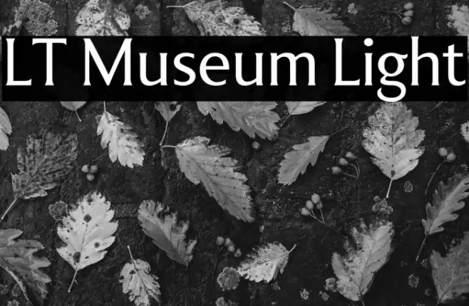 LT Museum Light Font examples