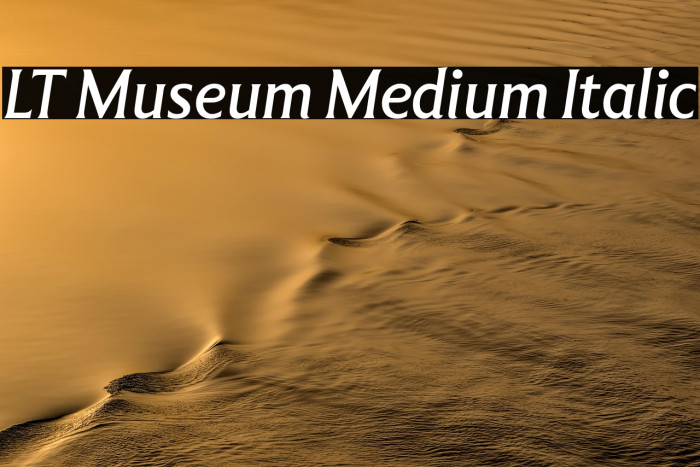 LT Museum Medium Italic Example 1
