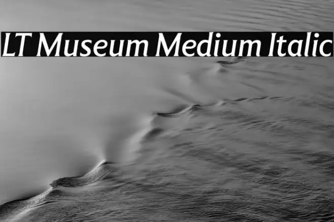 LT Museum Medium Italic Example 1