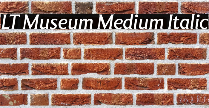 LT Museum Medium Italic Example 2