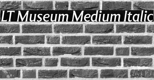 LT Museum Medium Italic Example 2