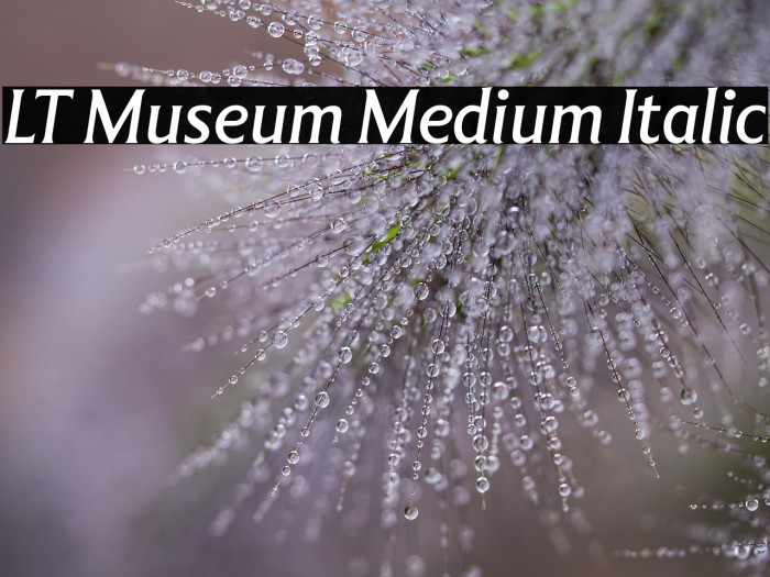 LT Museum Medium Italic Example 3