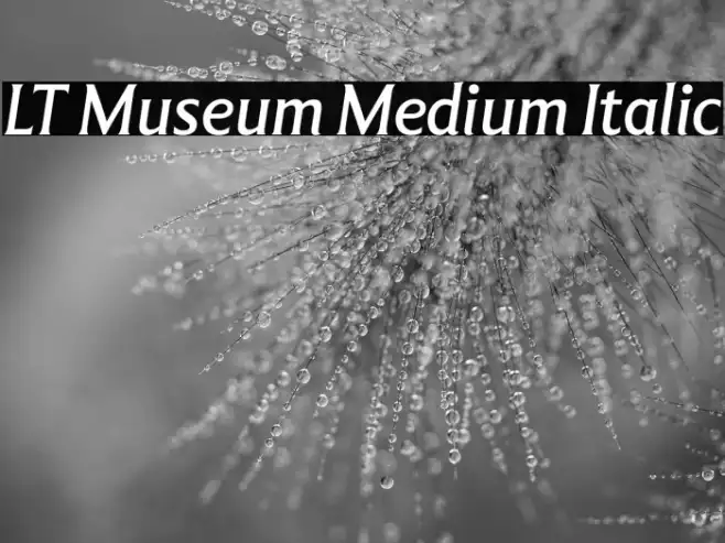 LT Museum Medium Italic Example 3