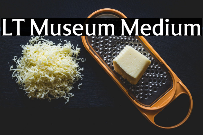 LT Museum Medium Example 1
