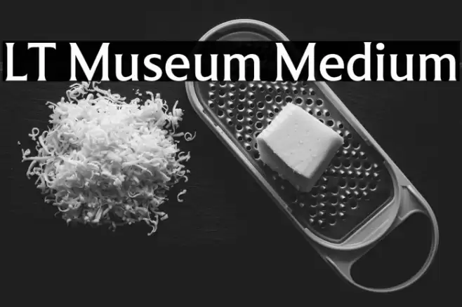 LT Museum Medium Font examples