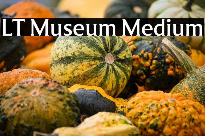 LT Museum Medium Example 2