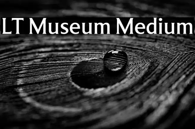 LT Museum Medium Font examples