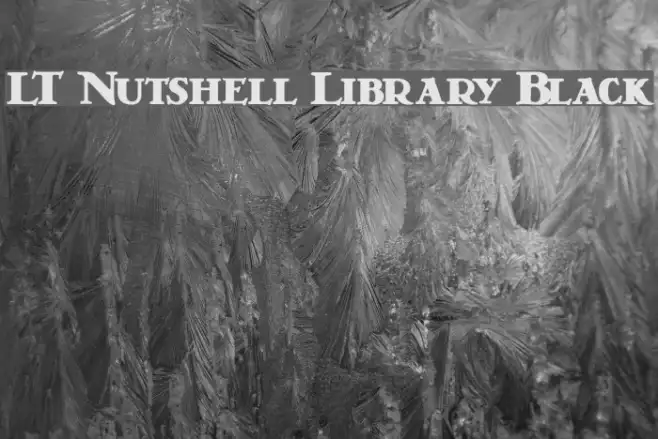 LT Nutshell Library Black Example 1