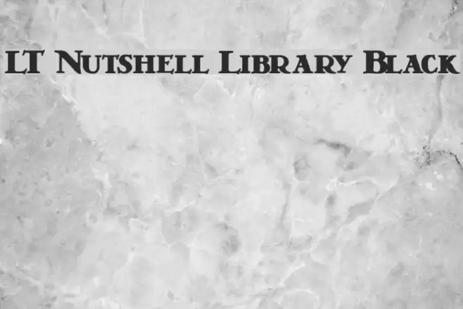 LT Nutshell Library Black Example 2