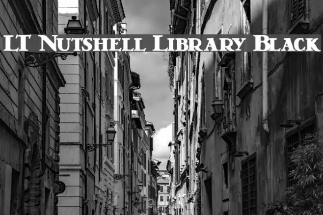 LT Nutshell Library Black Example 3