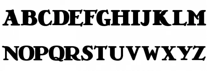 LT Nutshell Library Black Polices MINUSCULES