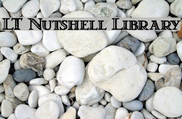 LT Nutshell Library Font examples
