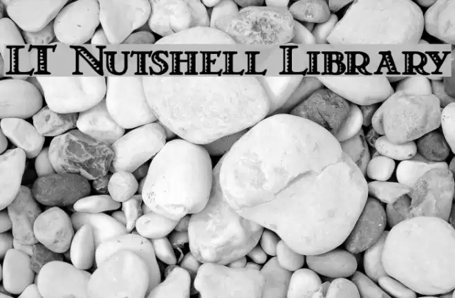 LT Nutshell Library Fonte examples