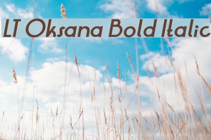 LT Oksana Bold Italic Font examples