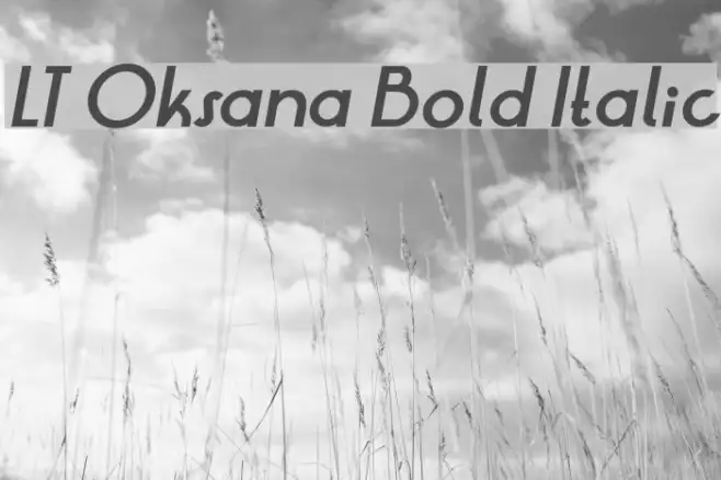 LT Oksana Bold Italic Example 2
