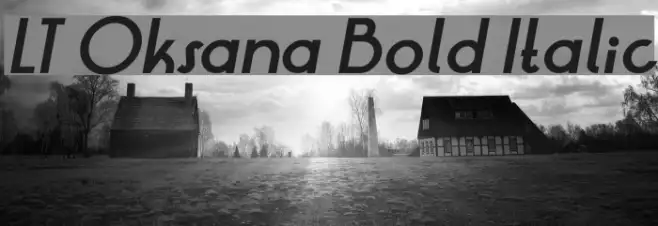 LT Oksana Bold Italic Example 3