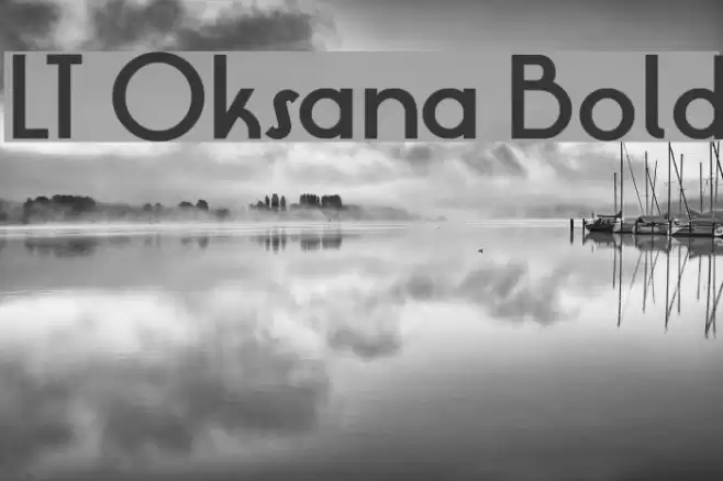 LT Oksana Bold Font examples