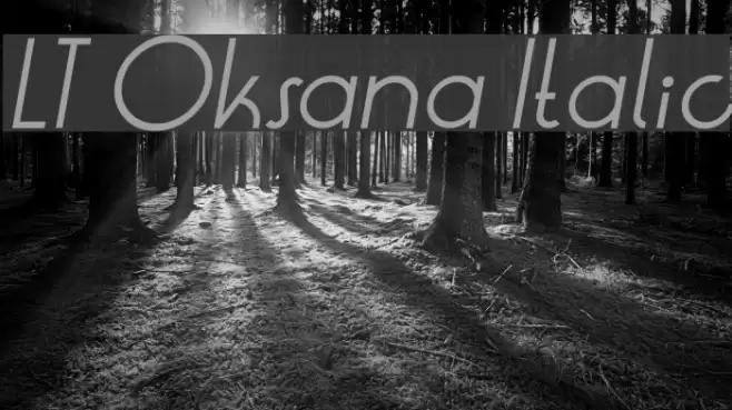 LT Oksana Italic Font examples