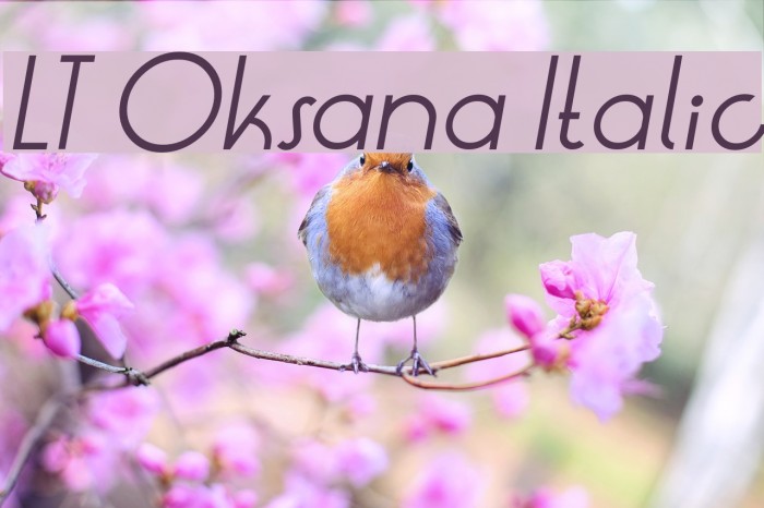 LT Oksana Italic Font examples