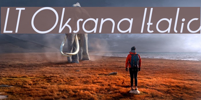 LT Oksana Italic Font examples
