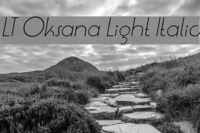 LT Oksana Light Italic Font examples