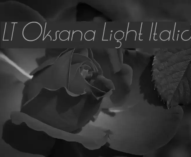 LT Oksana Light Italic Font examples