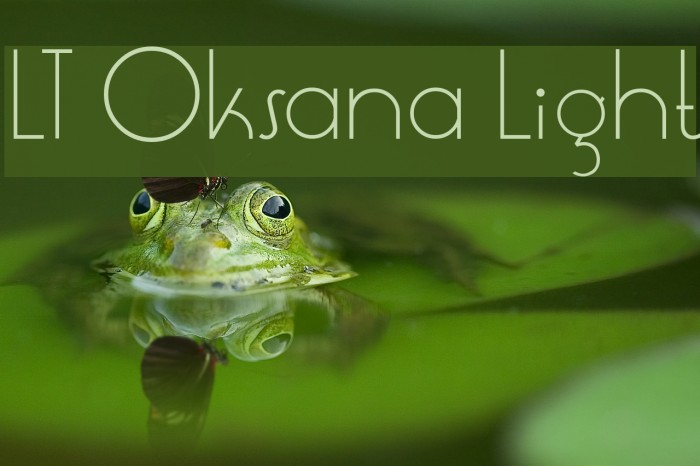 LT Oksana Light フォント examples