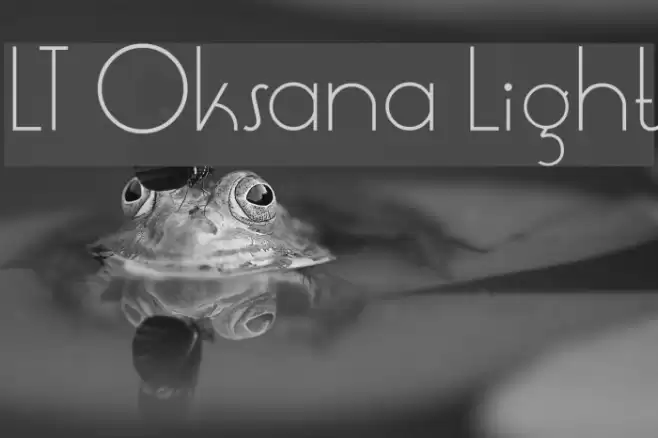 LT Oksana Light Font examples