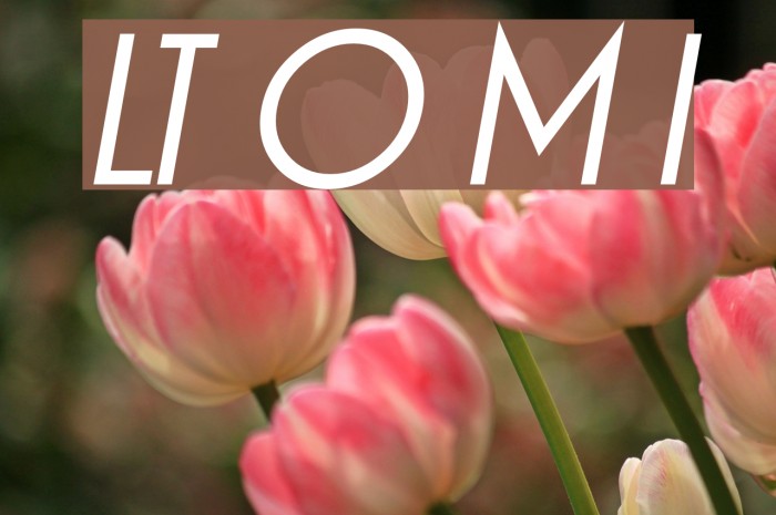 LT Oksana Medium Italic Font examples
