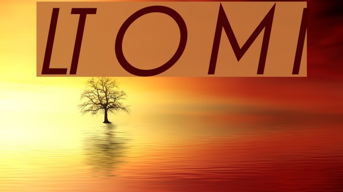 LT Oksana Medium Italic Font examples