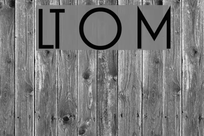 LT Oksana Medium Font examples