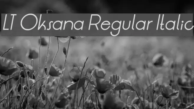LT Oksana Regular Italic Font examples