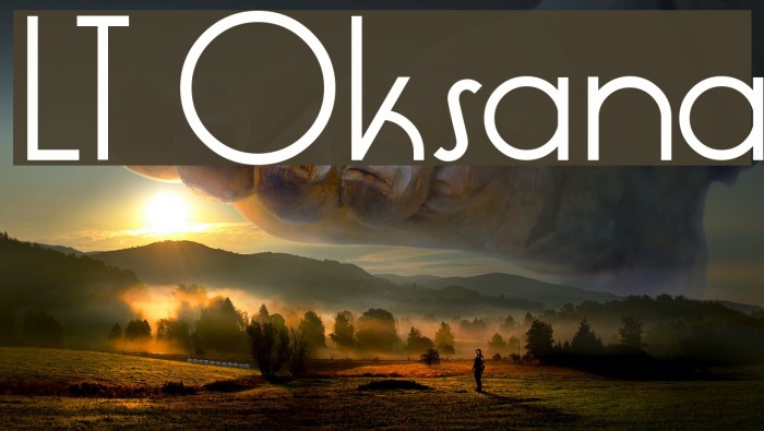 LT Oksana Font examples