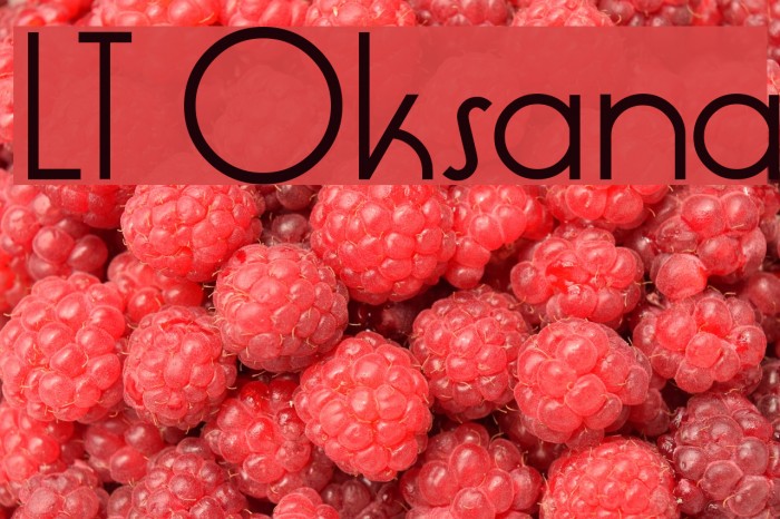 LT Oksana Font examples