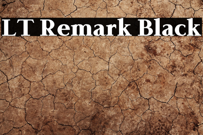 LT Remark Black Example 1