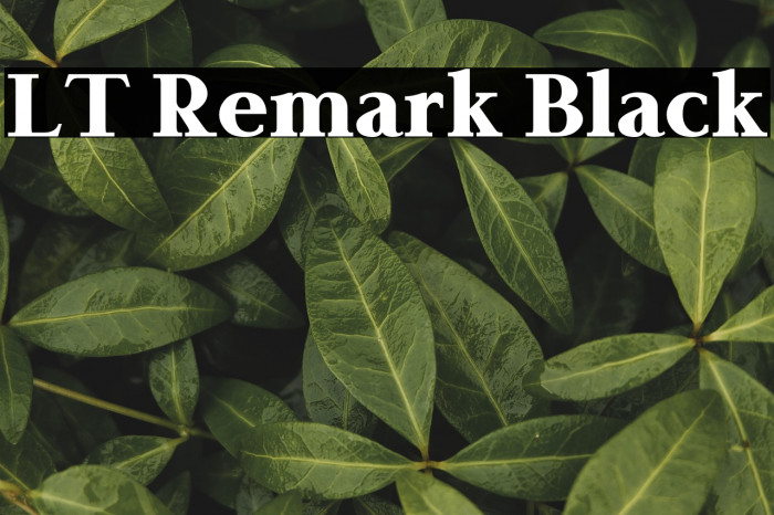 LT Remark Black Example 2