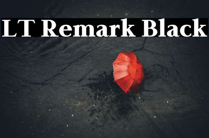 LT Remark Black Example 3