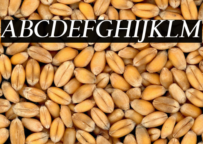 LT Remark Bold Italic Example 3