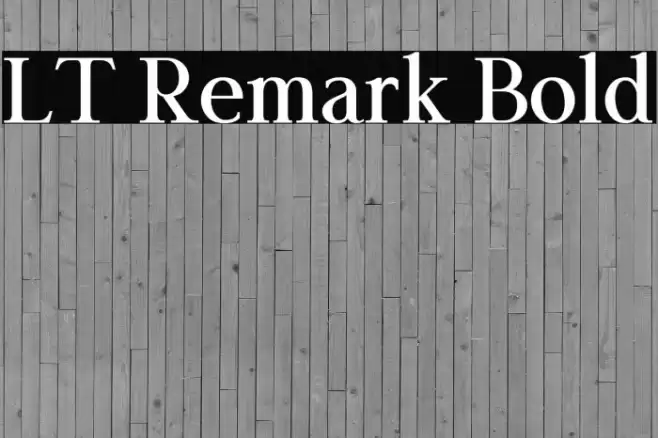 LT Remark Bold Font examples