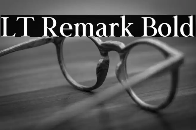 LT Remark Bold Font examples