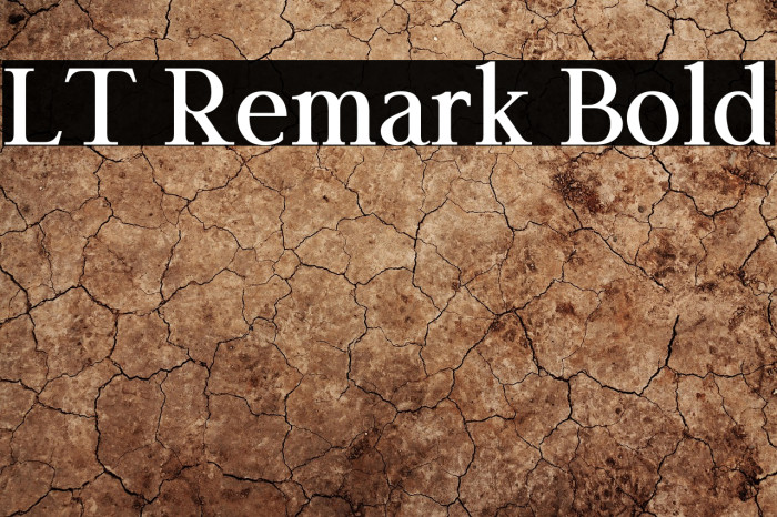 LT Remark Bold Example 3