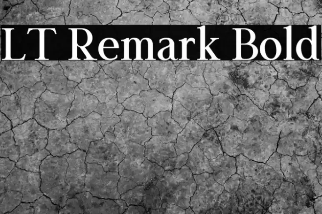 LT Remark Bold Font examples