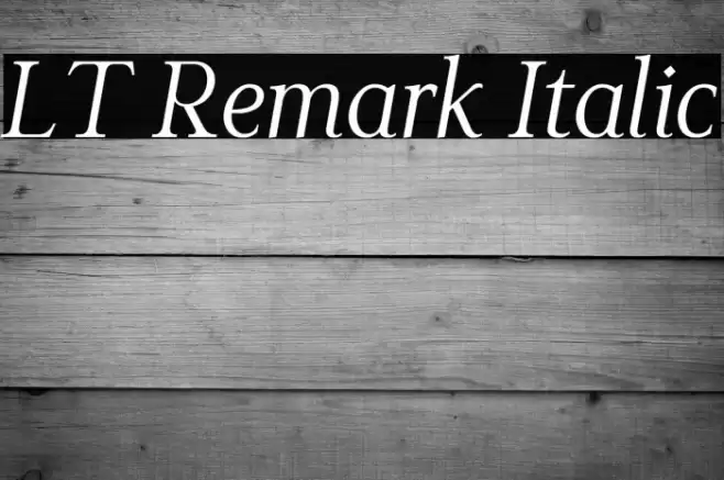 LT Remark Italic Font examples