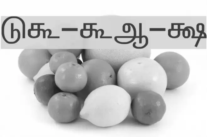 LT-TM-Barani Font examples