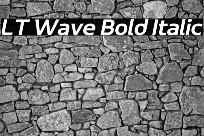 LT Wave Bold Italic Example 1