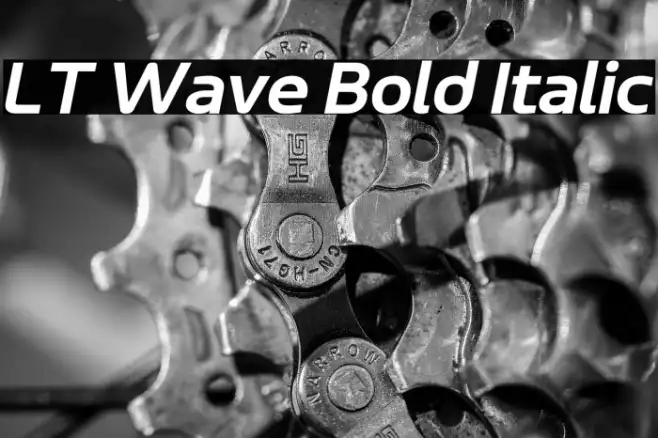 LT Wave Bold Italic Example 2