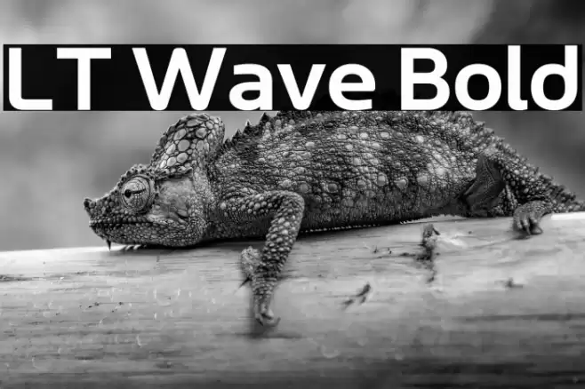 LT Wave Bold Font examples
