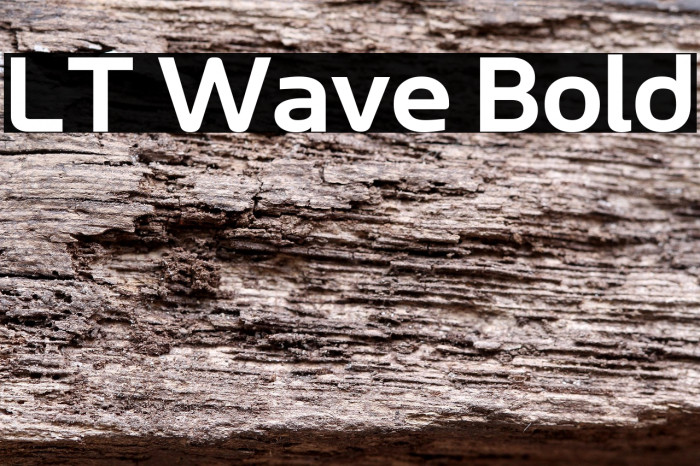 LT Wave Bold Example 3