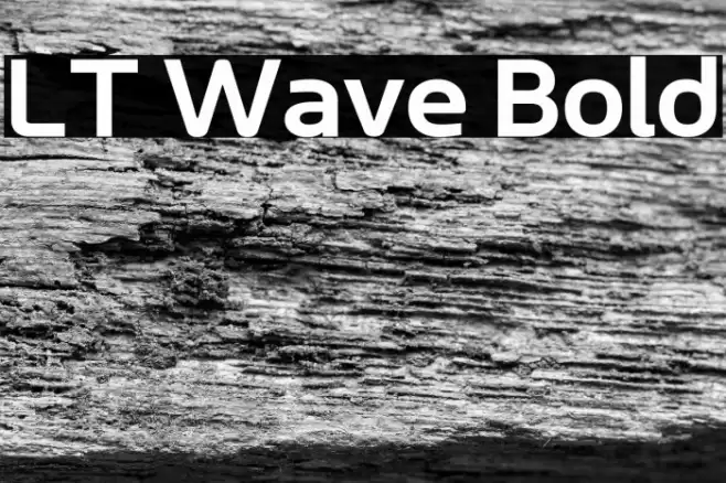 LT Wave Bold Font examples